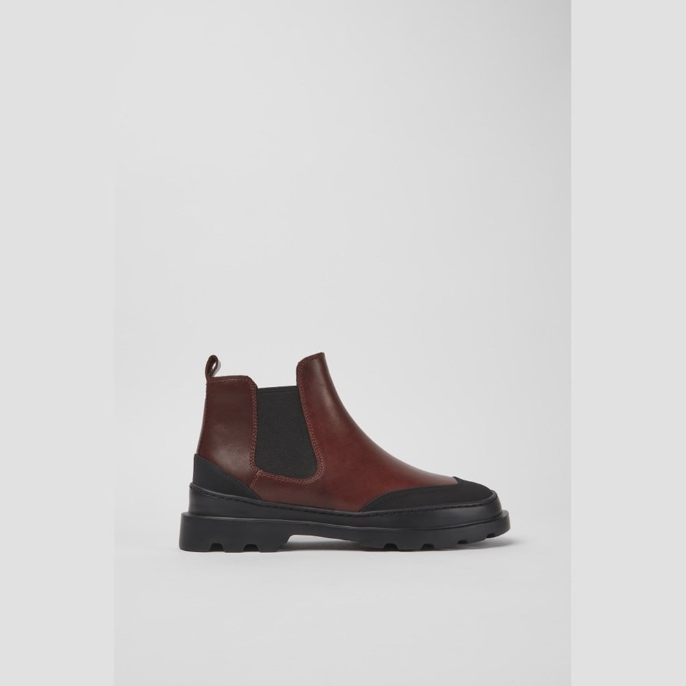 Bottines Camper Brutus Femme Bordeaux | OS1308247