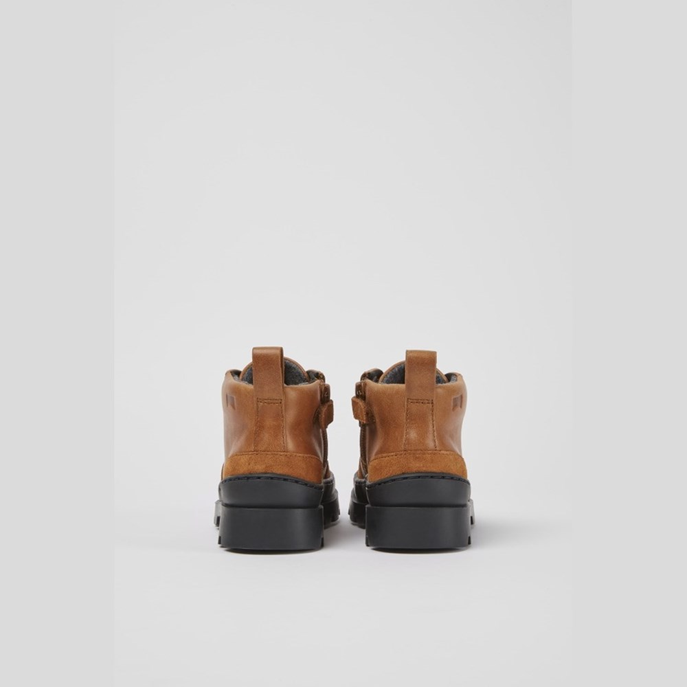 Bottines Camper Brutus Garcon Marron | ZY4869027